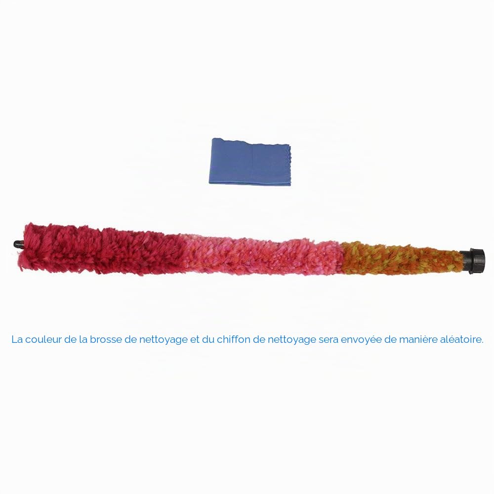 Saxophone en laiton laqué doré, avec note de mi plat, Alto-saxophone, type de clé 82Z, instrument à vent, en bois, avec pinceau, chiffon, gants, sangle rembourrée