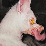 DRIVING ROUND LOOKING FOR UNKNOWN [Explicit]