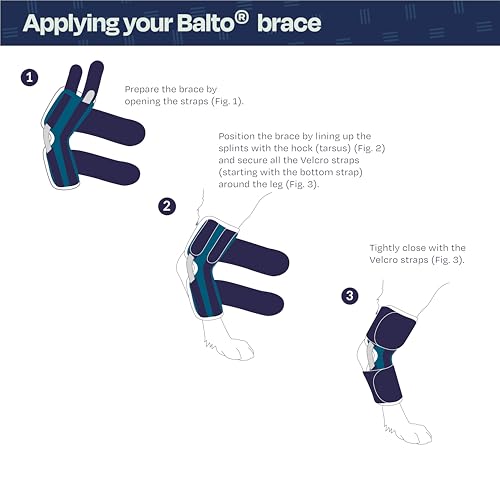 Image of Balto Hock Brace - Dog Brace with Aluminum Splints - Pre /Post Surgery Helps Support Arthritis and Unstable Joints - Back Leg Support (Small)