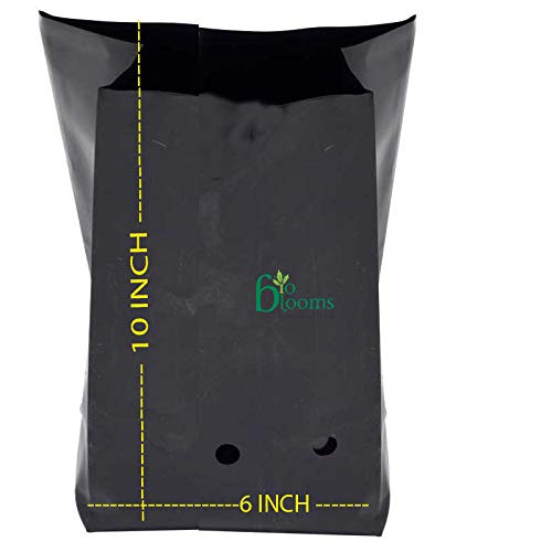 Bio Blooms Terrace Gardening Nursery Cover Black Color 8" X 12" Pack of 100, Indoor & Outdoor Use for Seedling (B07Z6BLFFB) Amazon Price History, Amazon Price Tracker