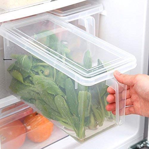 Clyde Fridge Storage Pack of 1 Refrigerator Organizer Container Square Handle Food Storage Organizer Boxes - Clear with Lid (Plastic)