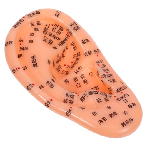 HOMOCONO Modelo Auricular Broches Para Puntos Del Oído Del Cuerpo Broches Rojos Broches De Solapa Masajear Los Puntos De Acupuntura Del Oído. Modelo De Masaje De Polivinilo