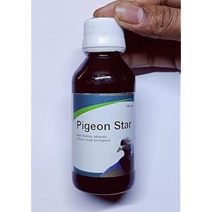 Pigeon Star Multi Vitamin, Minerals & Amino Acids for Exotic Birds Like Budgies, Cocktail Love Birds