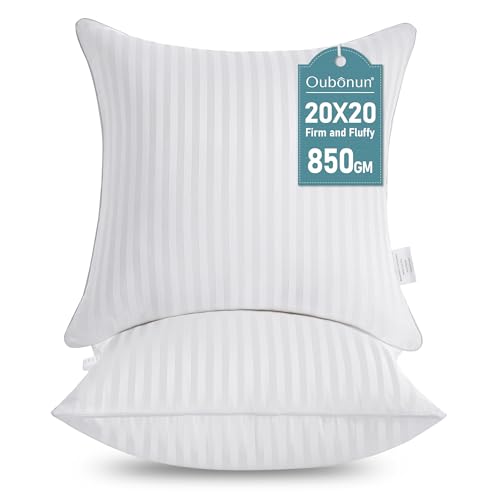 Oubonun 20 x 20 Throw Pillow Inserts, Firm and Fluffy Decorative Square Pillows for Couch Bed Sofa with Soft Cotton Cover White Cushion with Down Alternative Pack of 2
