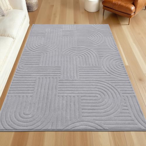SHACOS Soft Cozy Fluffy Arch Pattern High Low Pile Rugs