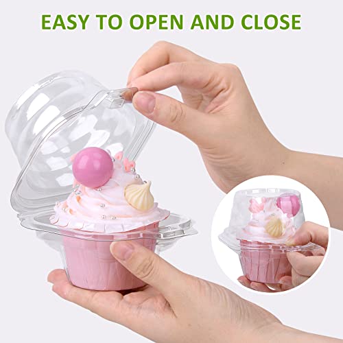 Image of Cupcake Boxes Individual Cupcake Containers, 25 Packs Regular Single Cupcake Holder High Topping for Muffins, Thicker Stackable Plastic Cupcake Carrier for Party (25 pack)