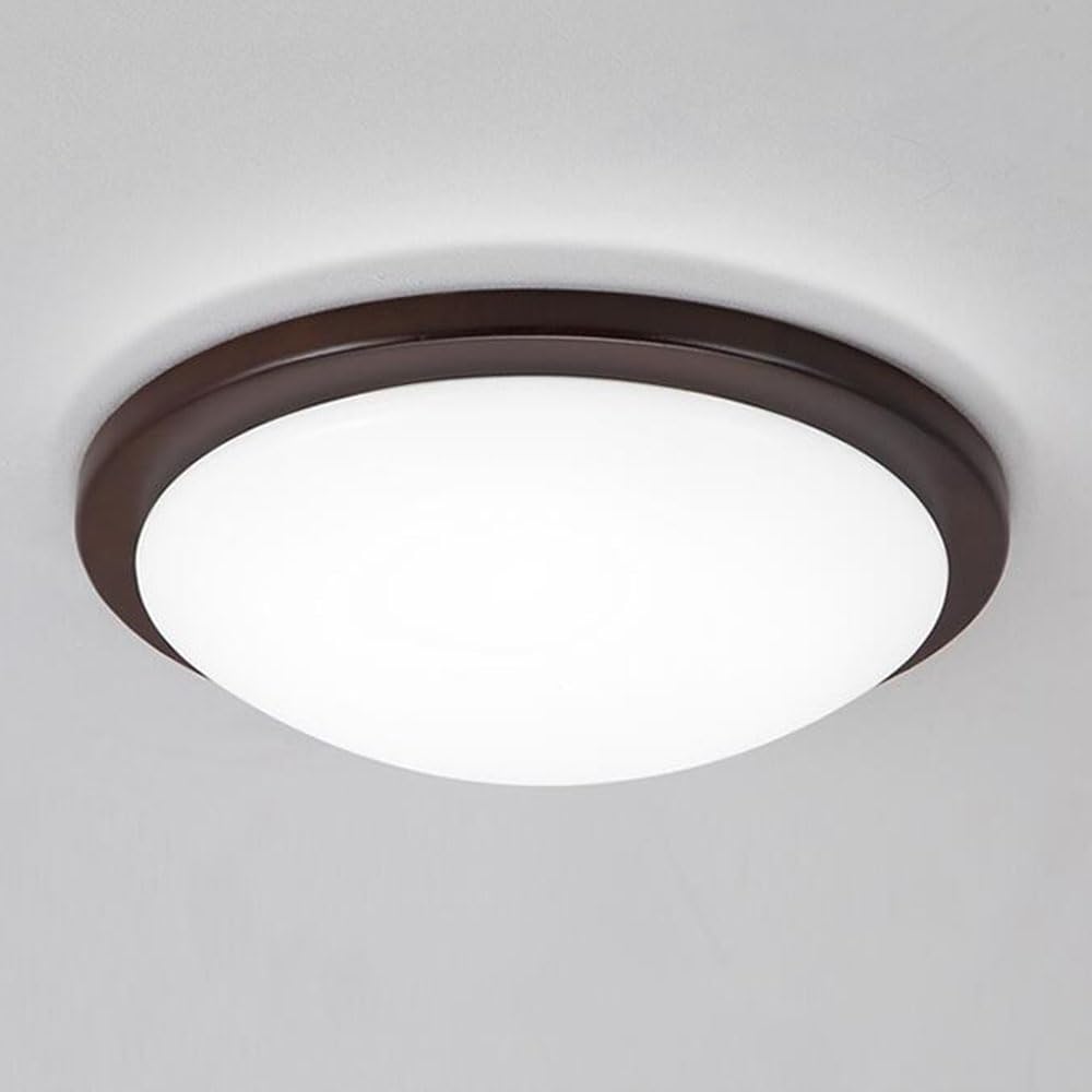 Lámparas Empotradas No Regulables Lámpara LED Redonda Plana Minimalista De Bajo Consumo Iluminación De Panel Industrial De Estilo Nórdico Posmoderno Para El Hogar Para Cocina, Pasillo, Porche