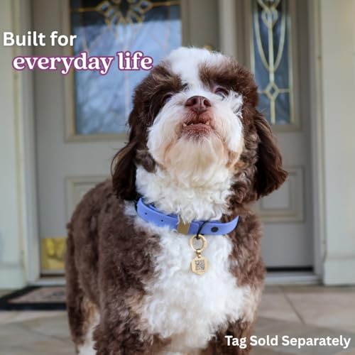 Collier chien imperméable bleu pervenche taille M résistant aux odeurs
