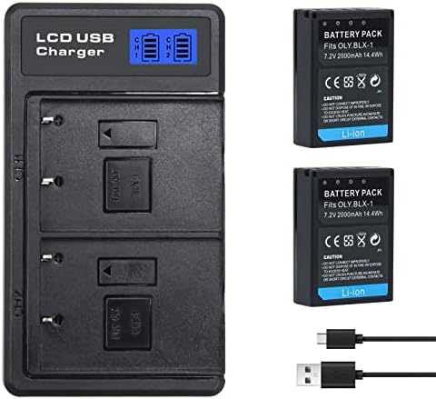Amazon.com: OM SYSTEM OLYMPUS SBCX-1 Battery with Charger kit 