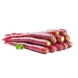 400 piezas semillas de zanahoria - plantas resistentes al invierno para balcones, plantas de balcón semillas de hortalizas semillas vegetales semillas de zanahoria, semillas de hierbas,