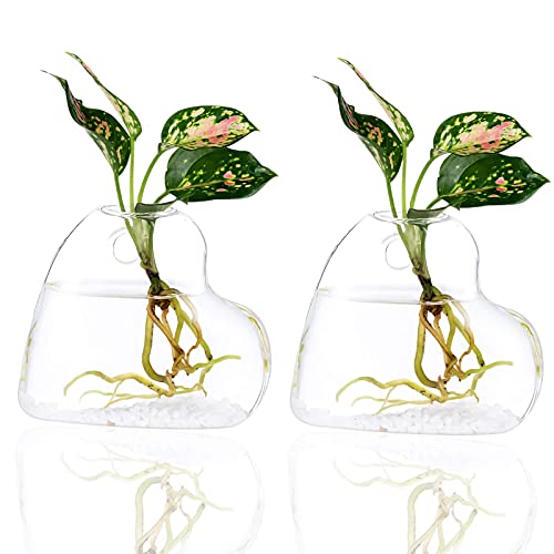 Kingbuy Glass Planters Wall Hanging Planters Glass Plant Terrariums Hanging Air Plant Pots Wall Hanging Plant Container For Planting Hydroponic Plants Home Office Decor - Heart Vase And Diamond Vase #TOP1