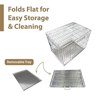 Ellie-Bo Silver Deluxe Small 24-inch Folding 2-Door Dog Cage/Crate with Metal Tray and Dog Bed Mat