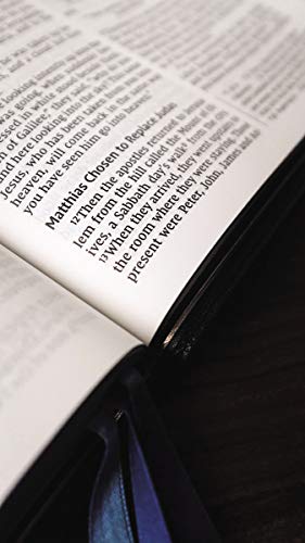 NIV Thinline Goatskin Bible