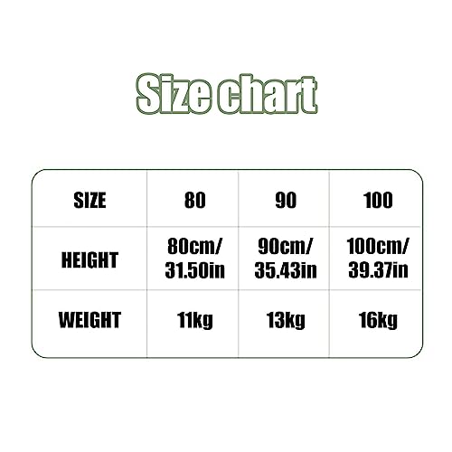 Roupa treinamento Potty | Fralda Calcinha Pee Training Pants - Calça infantil, shorts recém-nascidos