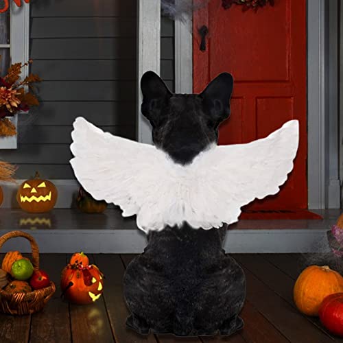 Leasote O70VUHFN8LL2Z233R2PTO Pet Dog Cat Cosplay Angel Devil Wings thumb #1