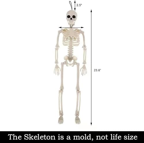 23.6" Halloween Skeleton Decor Full Body Skeleton With Movable Joints For Halloween Decorations Spooky Party Decoration, Haunted House, Indoor Outdoor Props Decor #TOP4