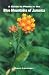 A Guide to the Plants of the Blue Mountains of Jamaica