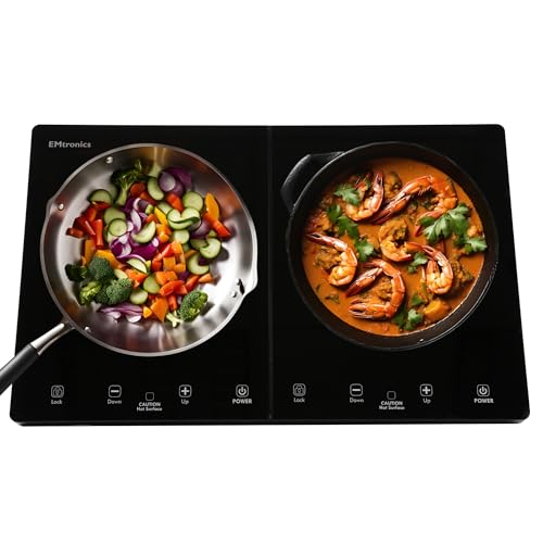 EMtronics 2800W Double Induction Hob
