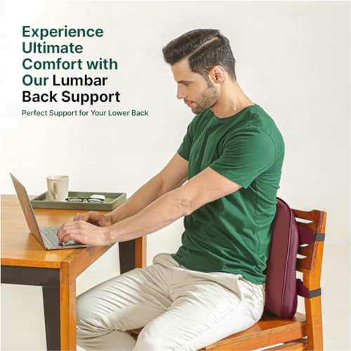 Image of The White Willow Back Support for Office Chair Cushion-Memory Foam Car Seat Back Rest Cushion for Driving-Lumbar Back Support Cushion for Lower Back Pain-BackRest Cushion-Chair Back Pillow-Berry
