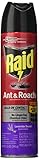 Raid Ant & Roach Killer Spray for Listed Bugs, Insect, Spider, For Indoor Use, Lavender Scent, 12 Oz, Pack of 1