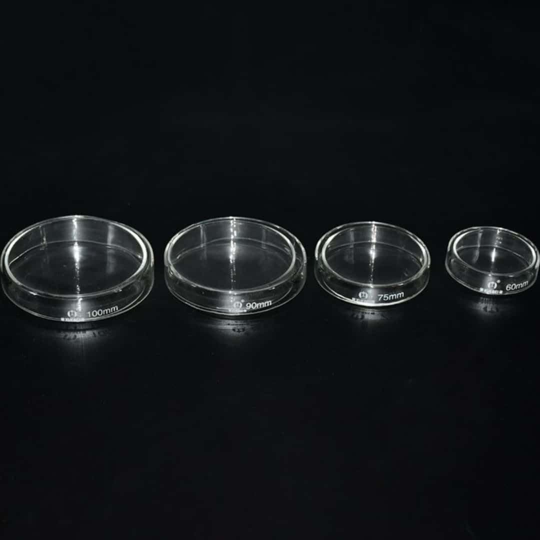 Hochtemperaturbeständige Quarzglas-Probenbox – Präzisionslaborinstrument, Außendurchmesser Φ30 mm–150 mm, 1 Stück | 150mm