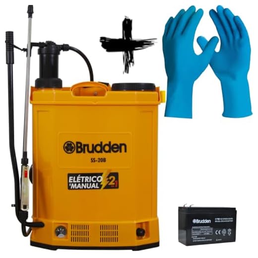 Kit Pulverizador Costal Elétrico Bateria Manual Para Veneno - Ss20b 20l + Par De Luvas Nítrilica Epi