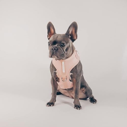 Miniatura 7 de Arnés para perro, color rosa bebé, diseño de cuero de neopreno, deportivo, pequeño, mediano, grande, sin tirones, transpirable, ligero, para