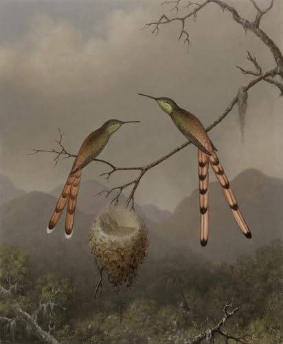 Affiches d'art de colibris pour la décoration murale du salon moderne