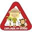 42. Explorer