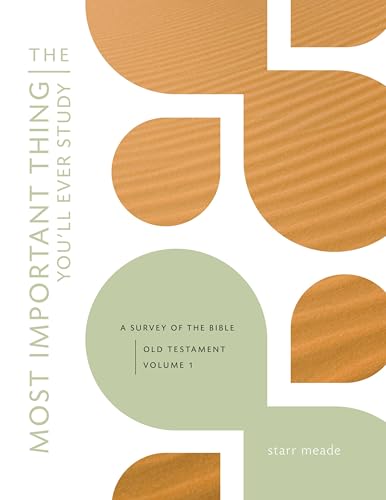 The Most Important Thing You'll Ever Study: A Survey of the Bible: Old Testament, Vol. 1 - image 1