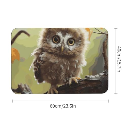 Tapis de sol en diatomée 60 x 40 cm pour éliminer les traces d'eau - 4