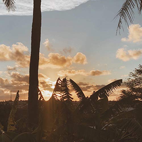 Amazon MusicでBryan LeeのClementineを再生する