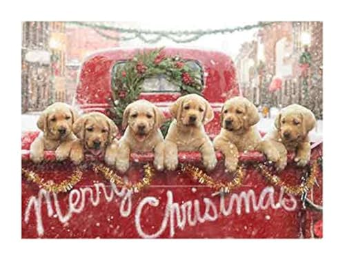 Avanti Press Christmas Cards, All The Love Your Heart Can Hold,LAB Puppies in RED Truck, 50 Count Value Pack (703951)