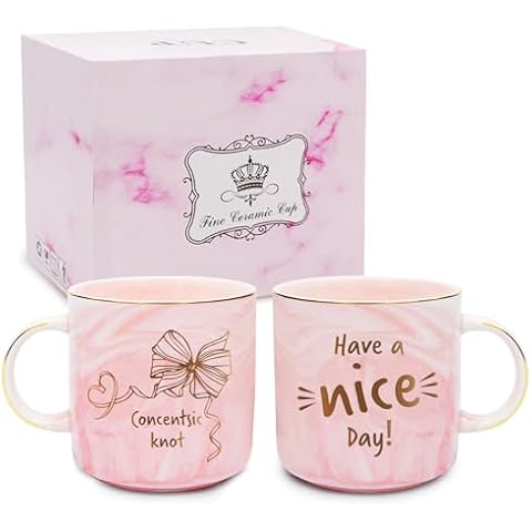 SYOUACEND Gifts for Women, Have a Nice Day, pink coffee mugs for women, Birthday/christmas gifts for CoworkersBossEmployeeMentorFriend (13.5Oz) Cover