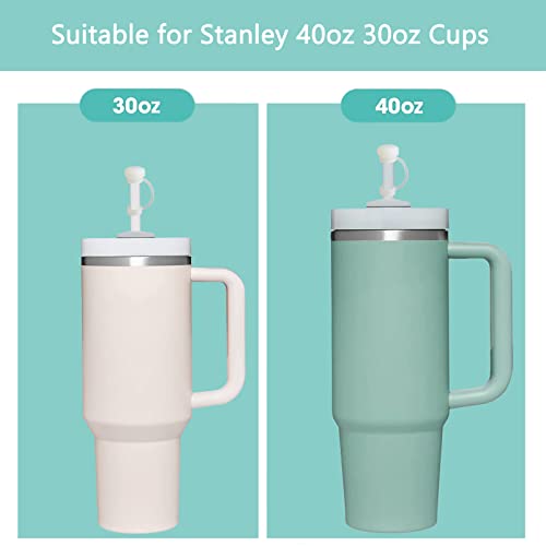 Dmtinta Silicone Spill Proof Stopper For Stanely Straw Cover For Stanley 40Oz 30Oz Tumbler Accessories For Stanley 1.0 Including 2 Straw Cover Caps 2 Square Spill Stoppers 2 Round Leak Stoppers 6Pcs #TOP3