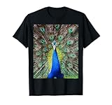 Witzige Tier und Karneval Kostüm Motive