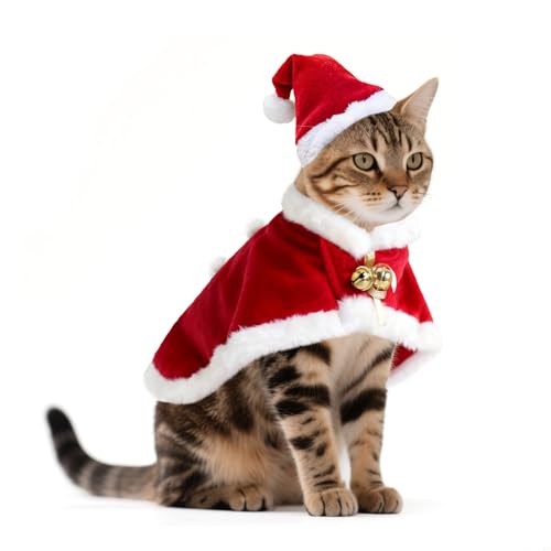 PETLESO L RX`[  RXv  ˂ ^ Xq NX}X  VN  P[vtLT^XqALybgNX}XRX`[ZbgAƃETM̐l`AT^N[XߑAS