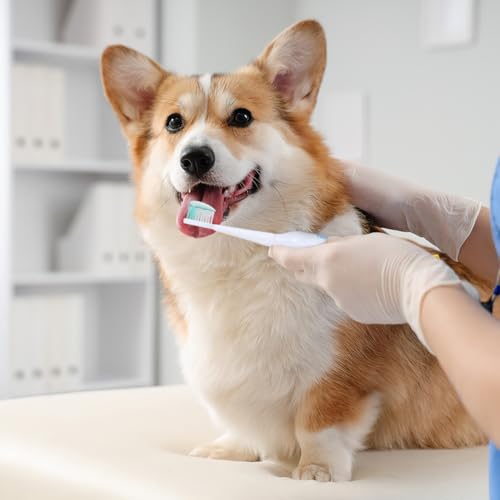 POPETPOP Elektrische Zahnbürste Für Haustiere Ultraschall Haustierzahnpflege Leicht Tragbar Sanft Zu Zähnen Und Zahnfleisch Für Hunde Und Katzen 7.48 Zoll