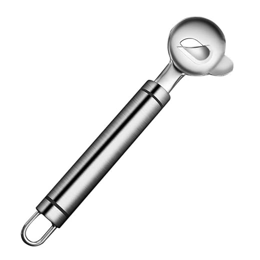 Cactus Peeler Spoon Multifunctional Kitchen Tool Ergonomic Design Easy Grip Efficient Peeling Stainless Steel Durable (Silver, 18.5CM)