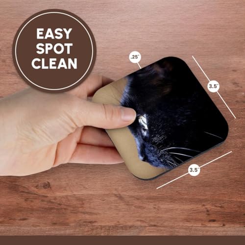 3dRose Extreme Closeup Of Black Cat set of 8 Coasters - Soft