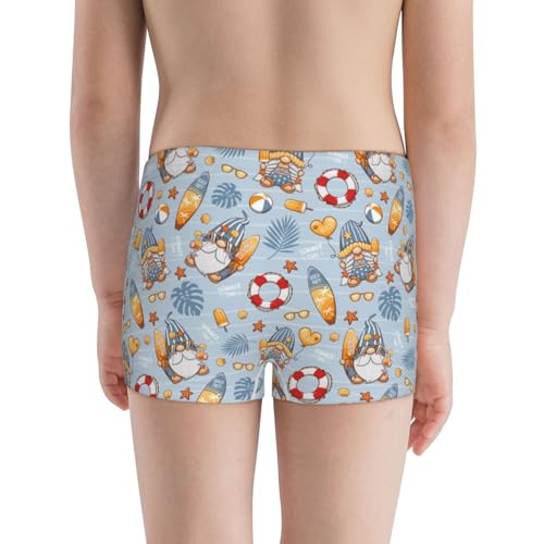 Boys' Cotton Boxer Brief Soft Underwear-Summer Time With Gnome3