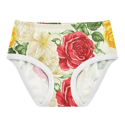 Vintage Flowers Red White Roses Panties Little Girl Toddler Underwear Floral Cotton Print Kids Briefs Undies 2t