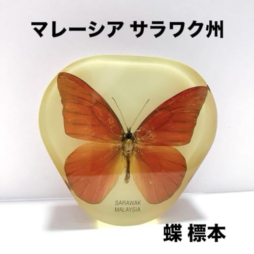  W{ }[VA TNB re[W y[p[EFCg u <0729zW{>