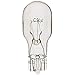 Import - Miniature & Specialty Equipment Lamps, Lamp Technology: Incandescent, Lamps Style: Miniature/Specialty (20 Pack)