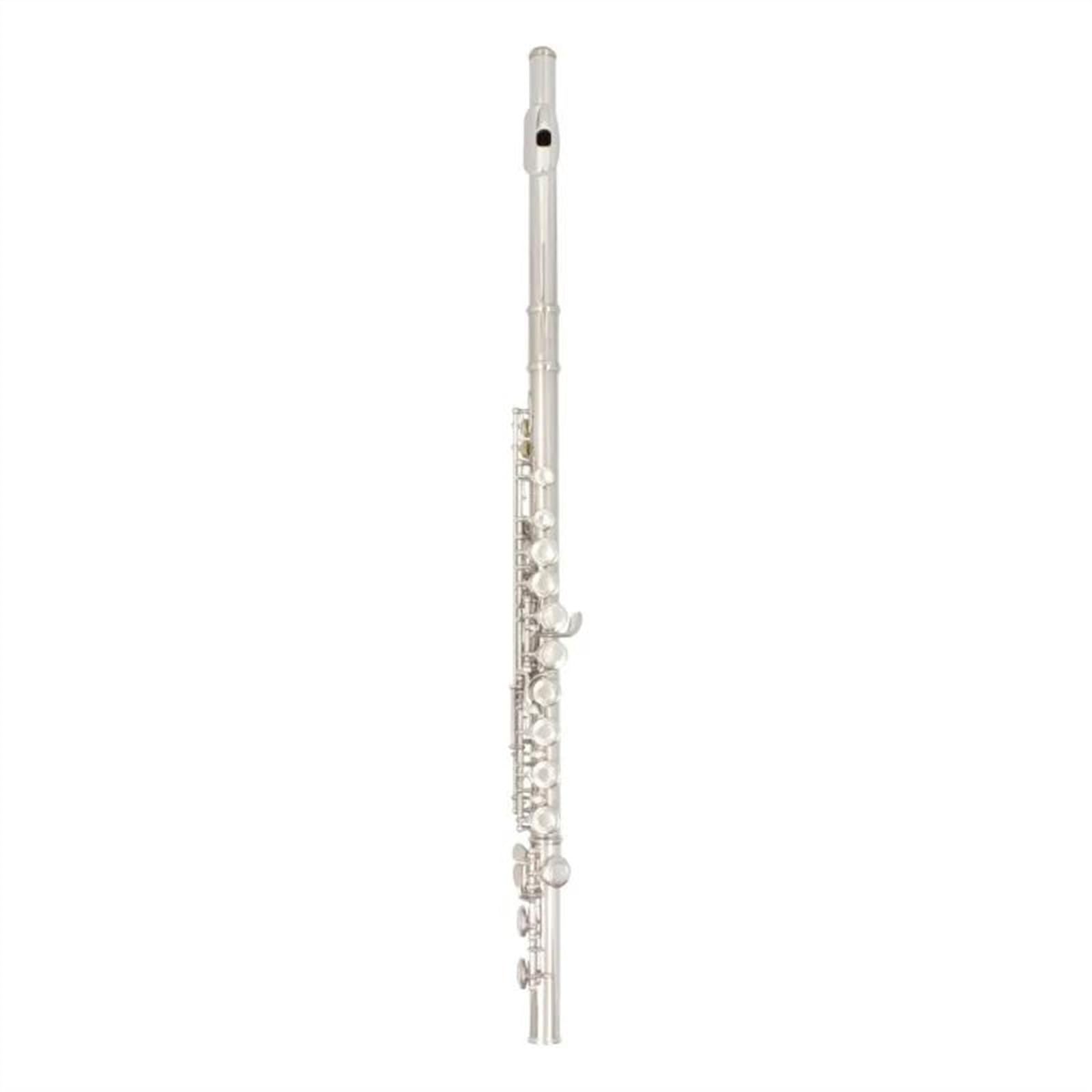 Professionale Flauto Traverso Flauto Trasversale Da Concerto Placcato Argento In Cupronichel Con 16 Fori Aperti Chiusi, Con Chiave E E Scatola