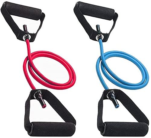 Rubber tpe Genuine 40 lb tonning Tube with Door Anchor, Resistant Band 2040 (B0973DWT7Y) Amazon Price History, Amazon Price Tracker