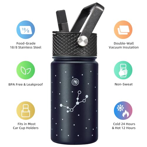 Image of BJPKPK Insulated Water Bottle, 15oz Stainless Steel with Straw Lid