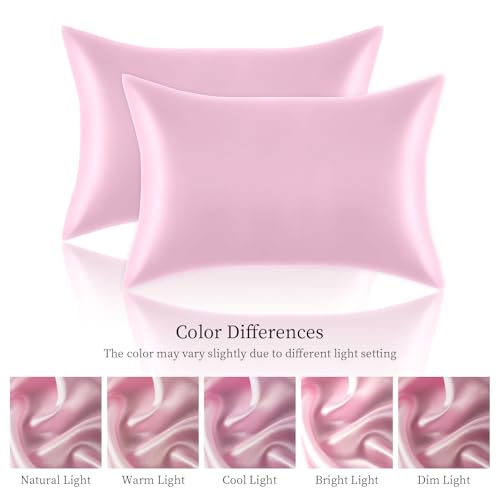 Satin Pillowcases Standard Set of 2 - Silk Soft Pillow Cases for Hair and Skin 20x26 inches, Pink Satin Pillow Covers 2 Pack with Envelope Closure for Home,School, Hotel