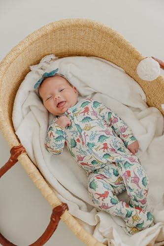 Image of Copper Pearl Zip-Up Footie Baby Pajamas - Soft Newborn Onesies for Boys & Girls, Tag-Free with Two-Way Zipper Baby Sleepers for Newborn - 24 Months, Dinosaurs of Jurassic Park