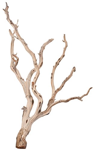 Image of Pisces Am-Manzbird036 36 inch Manzanita Sandblasted Bird Stand